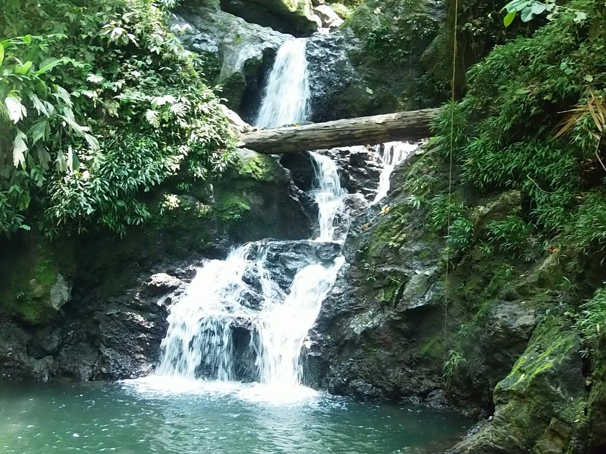 Cabanas Refugio Salomon Nuqui Ngoại thất bức ảnh